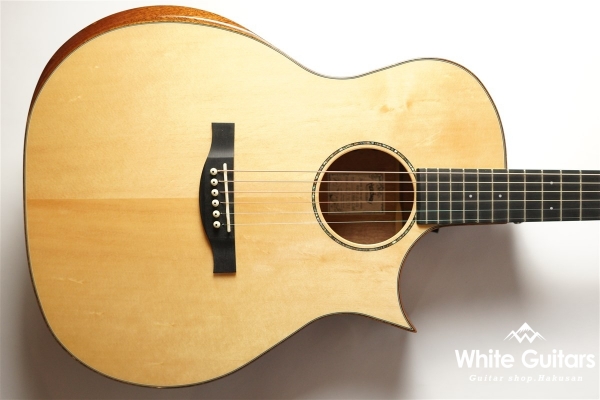 HGAF-5100SE/FMH-C - NAT